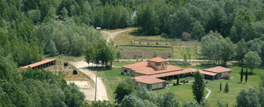 Campamento Verano. Almenara 2016